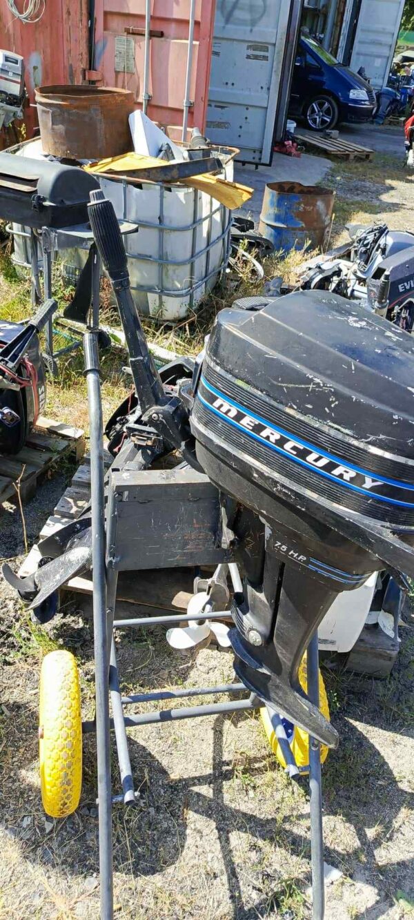 Mercury 7.5KM 2T cały na części (szarpanka)