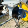 8d5769b7-2e5d-4d15-a9c3-ac10fa327f68.jpg Evinrude 4KM 2T cały na części (rumpel)