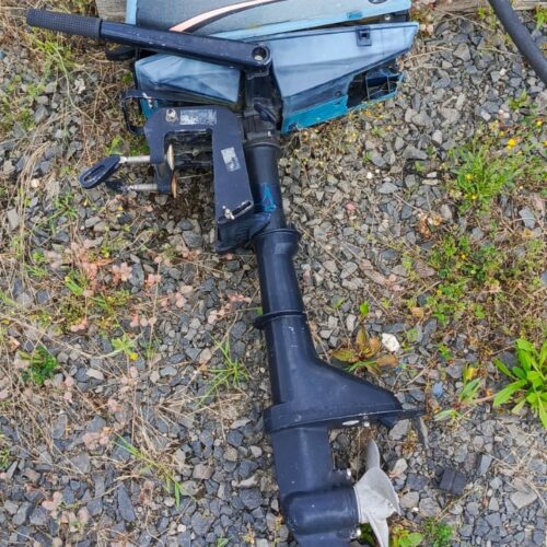 WhatsApp-Image-2025-07-30-at-12.34.59-21.jpeg Silnik zaburtowy Evinrude 2.3KM 2T spodzina