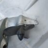 Evinrude silnik zaburtowy 6-8KM Spodzina nr.5