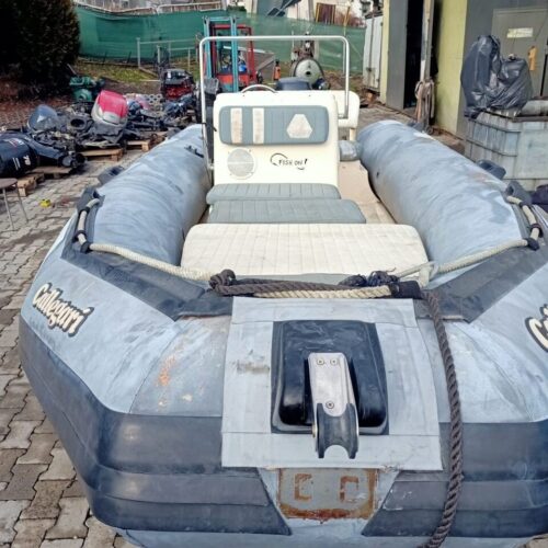 Rib 4.60 z silnikiem Evinrude 25